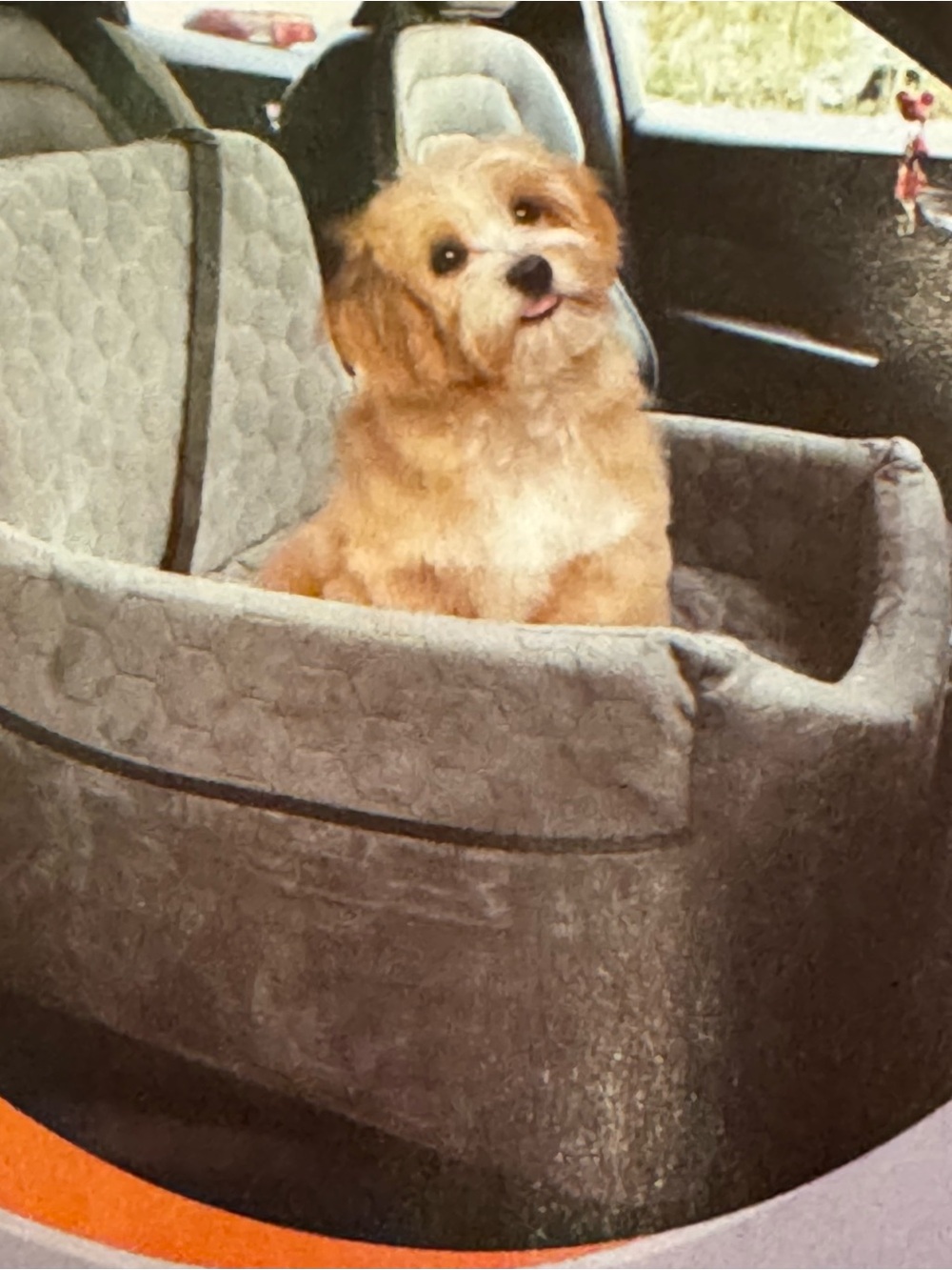 Plush Gray Dog Car Booster Seat - Secure Pet Travel - Picture 4 of 6